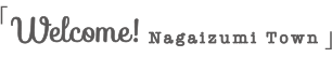 「Welcom! Nagaizumi Town」